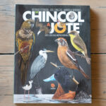 De Chincol a Jote - AAVV