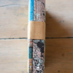 Flora Nativa de la Cordillera - Riedemann