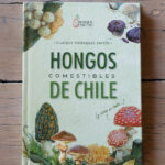 Hongos comestibles de Chile