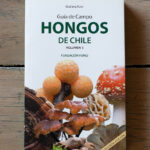 Hongos de Chile, guia de campo.