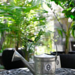 Regadera Pequeña PYP